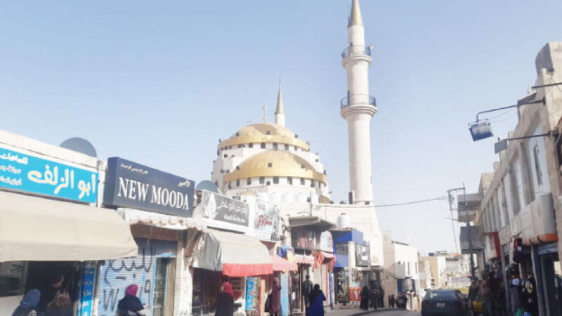 توزيع الحقول حسب الشعب في مدارس مادبا